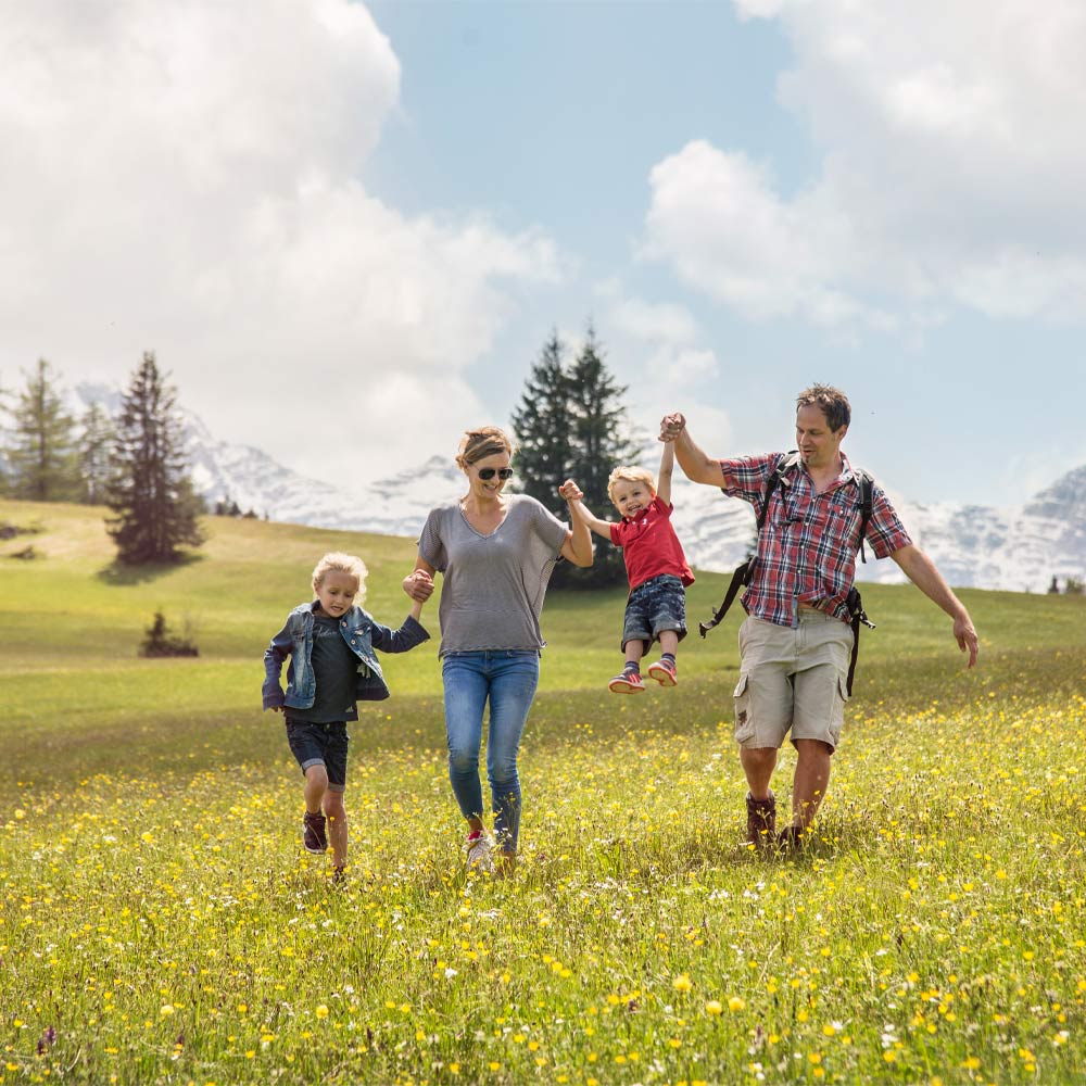 Almenwelt Lofer im Sommer Wandern